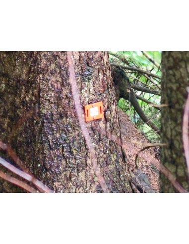 BIM stavebný cieľ RS50 - 100 ks