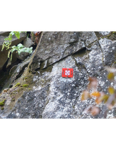 BIM stavebný cieľ RS50 - 100 ks